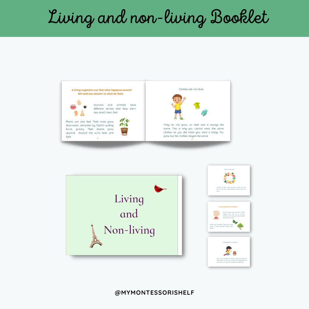 Living and Non-Living Booklet