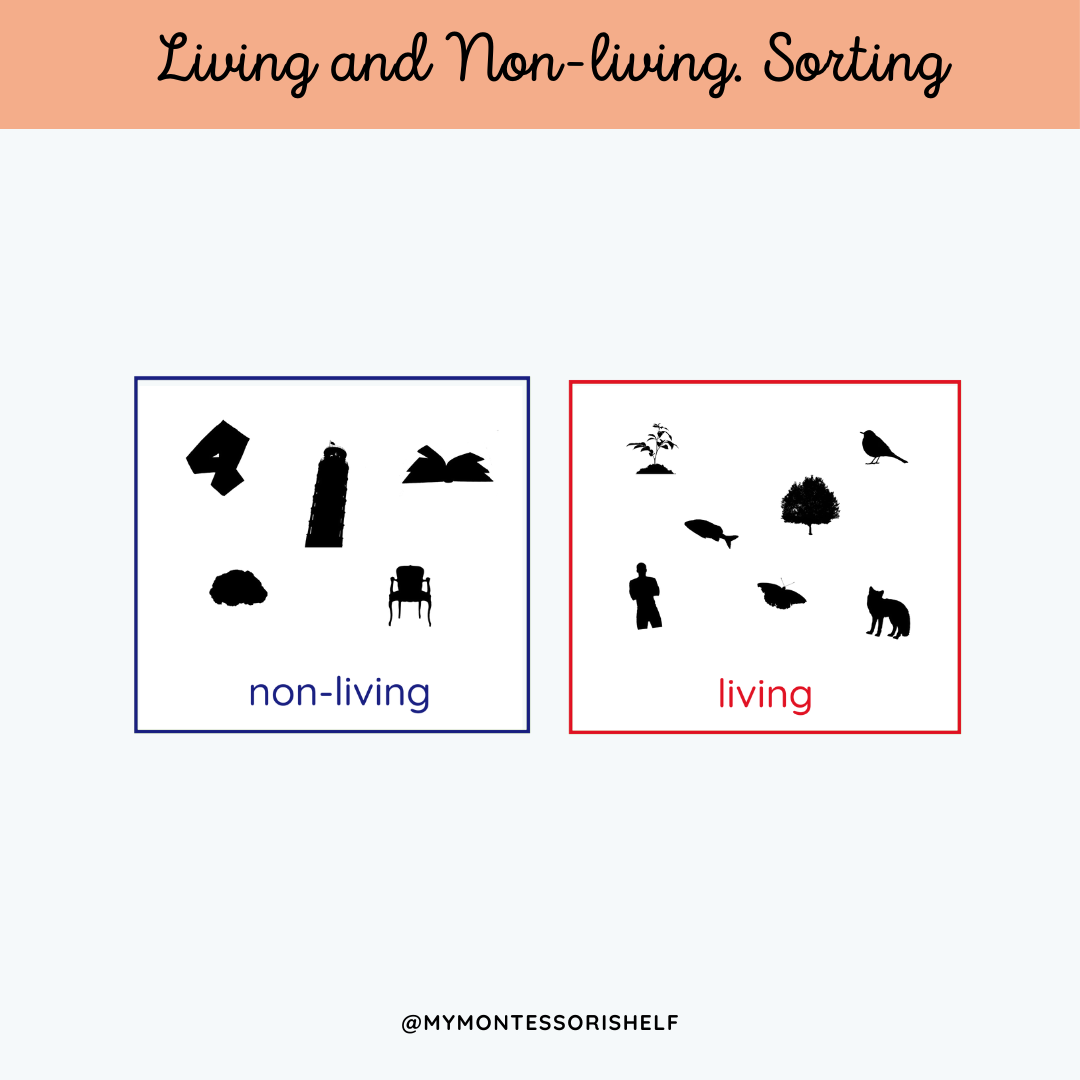 Sorting Cards. Living and Non-Living