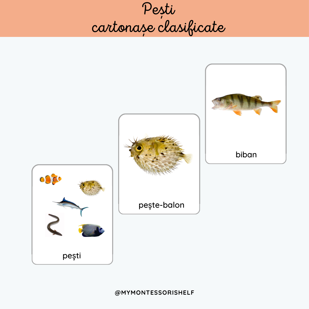 Pești - cartonașe clasificate