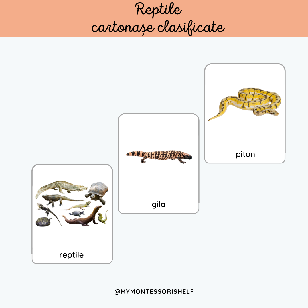 Reptile cartonașe clasificate